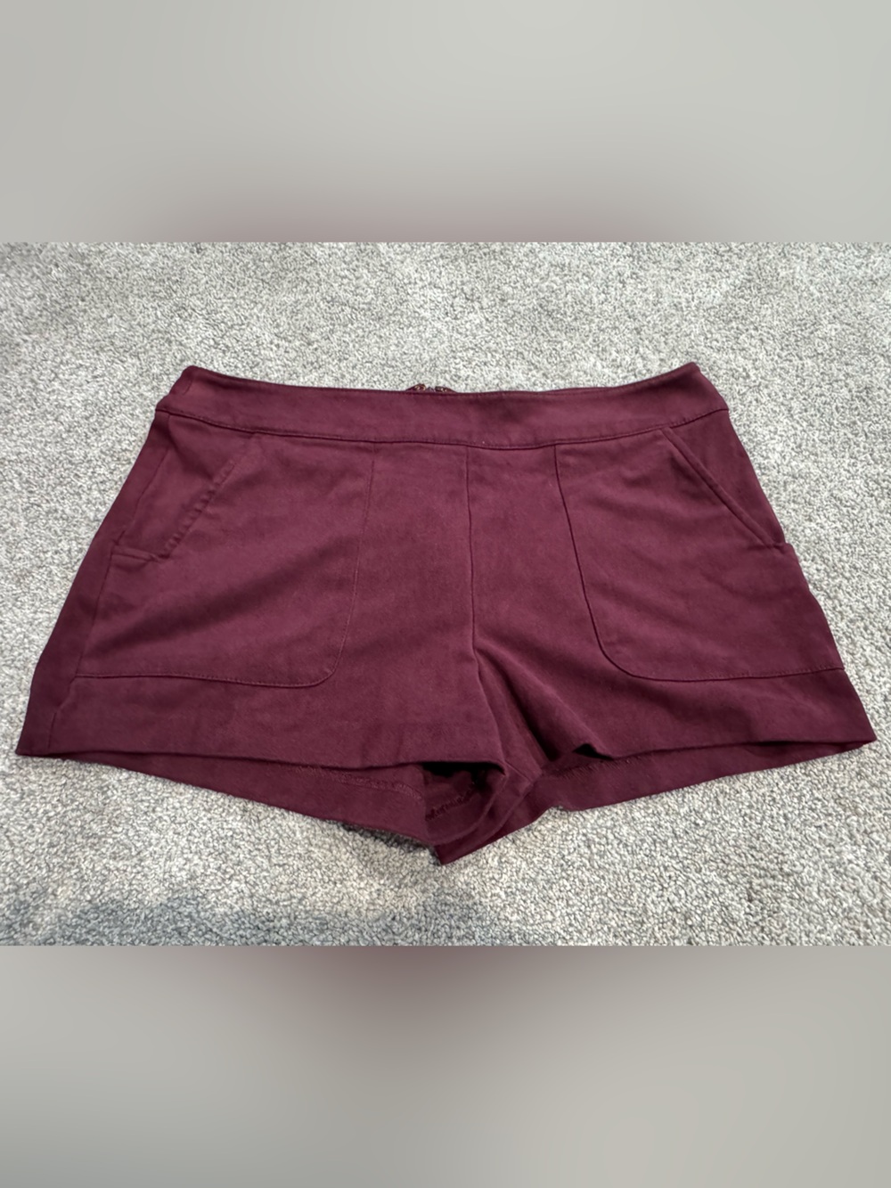 Forever 21 Suede Mauve Shorts